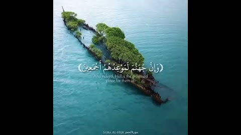 سورة الحجر من الآيه 41 الى 43🤍