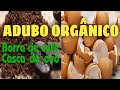 ADUBO poderoso, borra de café e casca de ovo. Suas frutíferas bem nutridas.