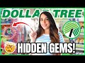 Dollar Tree *HIDDEN GEMS* you SHOULD be buying May 2023 (JACKPOT organization &amp; hacks)