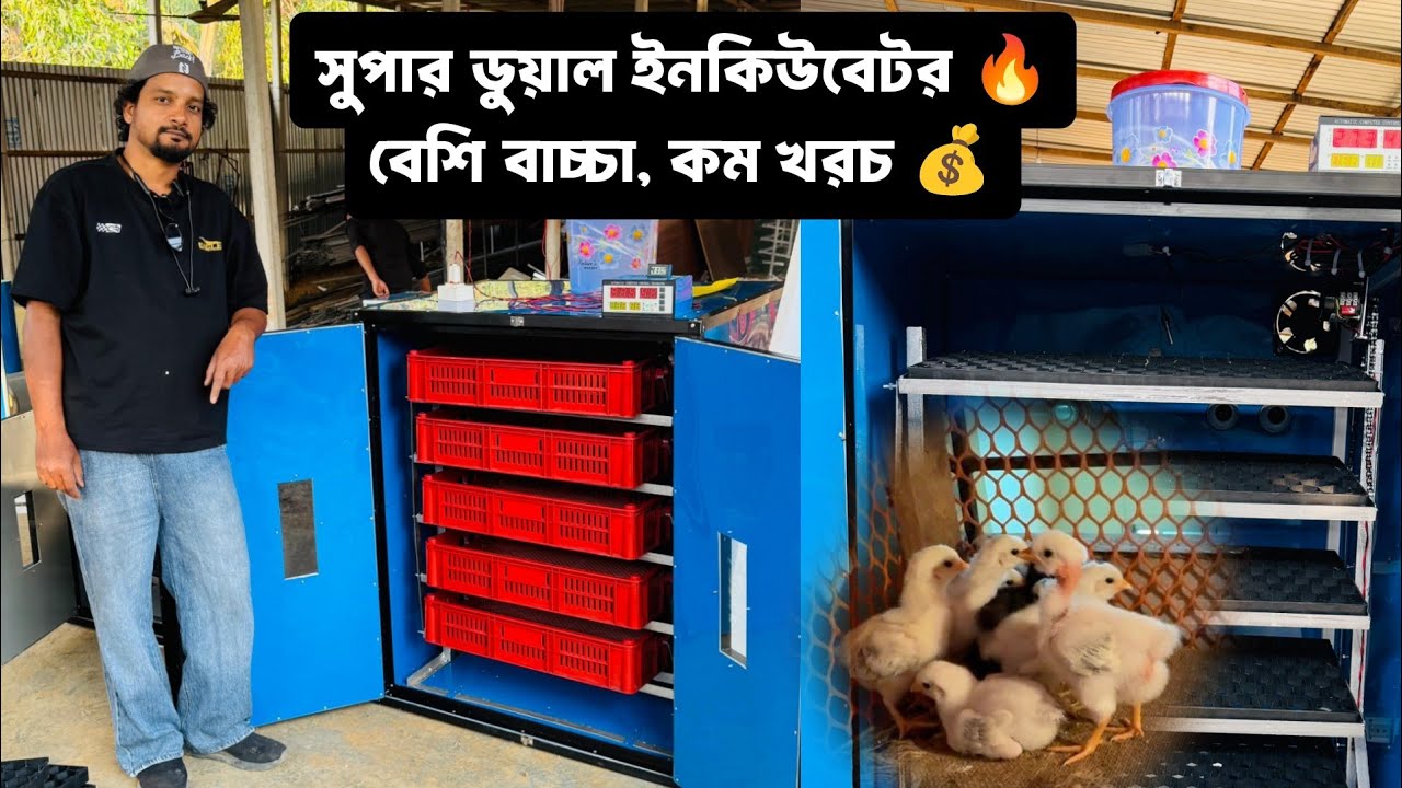 জাপানি স্টিল সুপার ডুয়াল 🐣এক মেশিনে সেডার ও হ্যাচারকম খরচে বেশি বাচ্চা ✔️