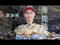 新加坡海钓岸抛路亚，石斑鱼 | Shore jigging, Singapore, ep 8