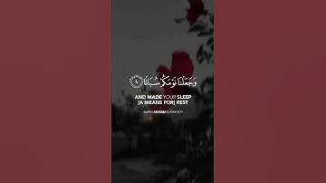 تلاوة هادئة تريح الأعصاب 😴🎧 | القاريء عبدالرحمن مسعد - سورة النبأ 🤍🌥️."