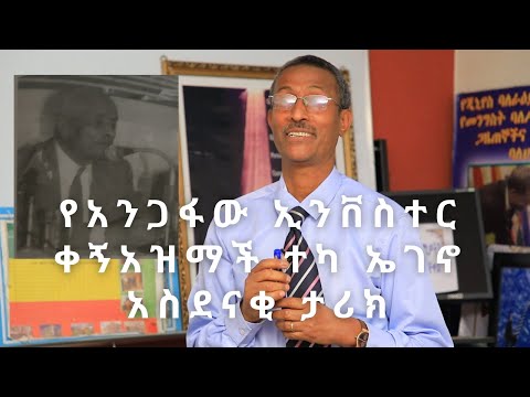 የዉጤታማነትና የብቃት ዋናዎቹ ምሳሌዎች ።/Effectiveness Success Models/Video 110