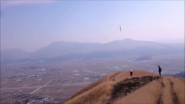 Mibomodel  Swift S1  20200318