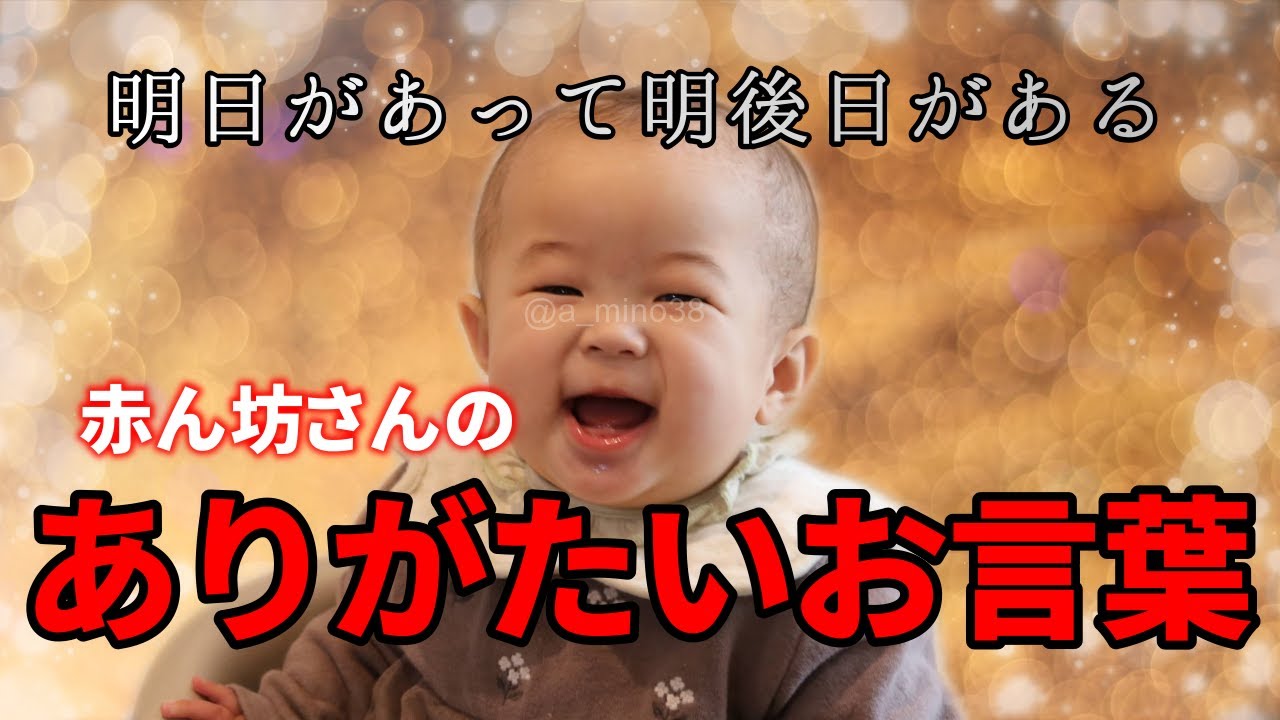 作業用 赤ちゃんの笑い声 Youtube