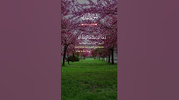 سورة القدر#قرآن #قران_كريم #memes #viralvideo #video #fyp #foryou #capcut #اكسبلور #دويتو#مصر #for