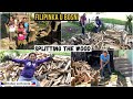 HOW TO SPLIT LOGS  FOR FIREWOOD | SPLITTING WOOD WITH AN AXE | WOOD SPLITTING | DRVA ZA ZIMU