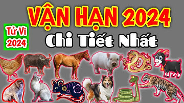 Vận Hạn 12 Con Giáp năm 2024 chi tiết