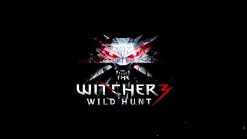 The Witcher 3: Blizzard potion in real time