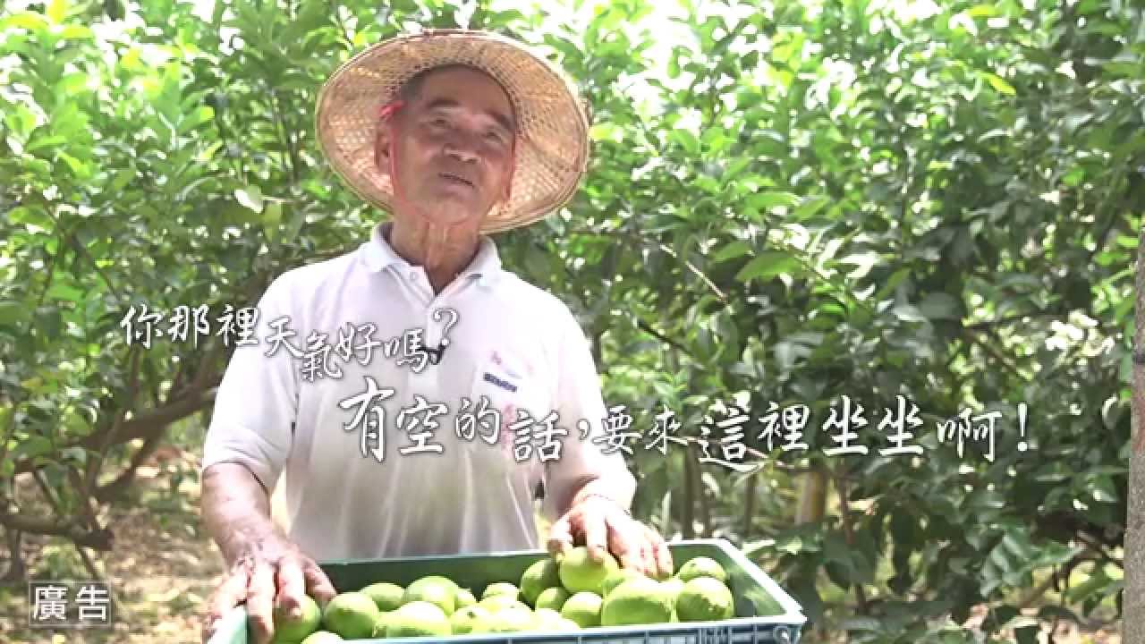 你那裡天氣好嗎?-蕉城熱情好旗農