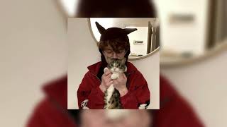 cavetown (cvetown) playlist but in sped up