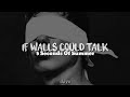 If Walls Could Talk - 5 Seconds Of Summer (Lyrics)