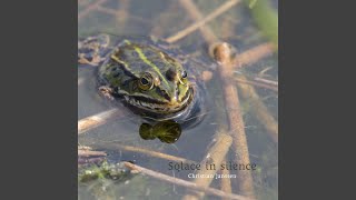 Solace in silence
