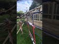Tour of the finishing touches to our new aviary!