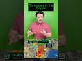Tornadoes INSIDE Tropical Systems?? | HailTrace