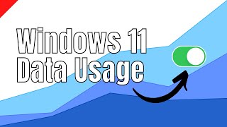 windows 11 data usage - yes, it's right here!