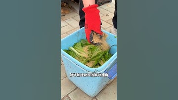 "Turn kitchen waste into garden wealth.Use EM composting bacteria for odor-free nutrient-rich👇🏻