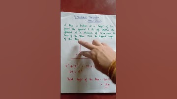 #pythagoras_theorem application Finding the height of a tree