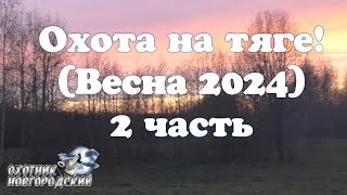 Охота на тяге!(Весна 2024)2 часть