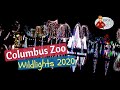 Wildlights 2020 at the Columbus Zoo