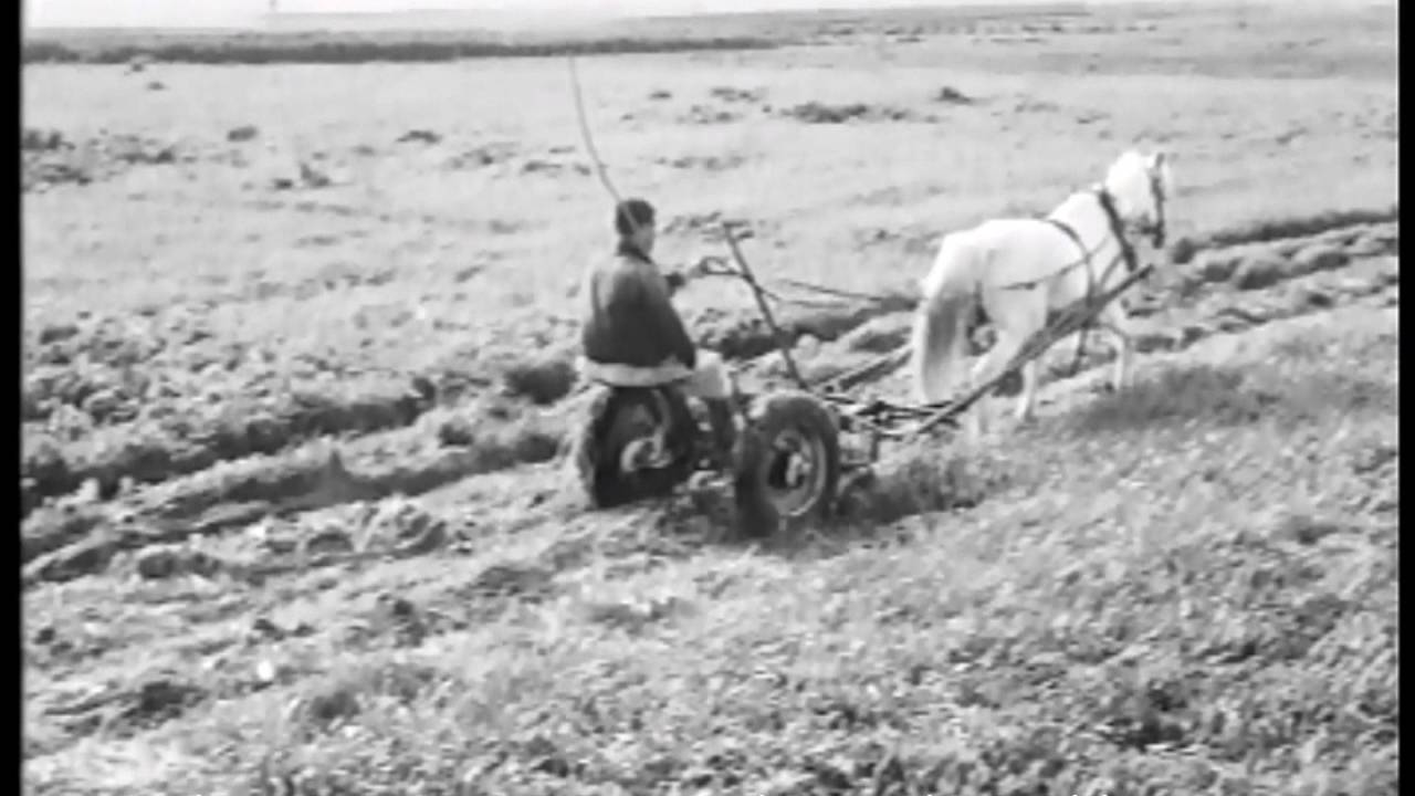 בנהלל 1961. (קטע) במאי: אמיל קנבל