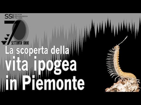 La scoperta della