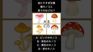 あなたは大丈夫?嫌いなタイプ、嫌われ度診断