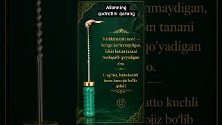 #Tish #Dental #ToothPain #Dentist #Stomatologiya #Soglik #IslamicReminder #Reminder #quotes