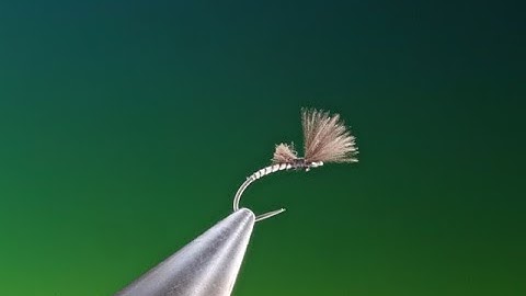 Fly Tying a Hatching midge with Barry Ord Clarke