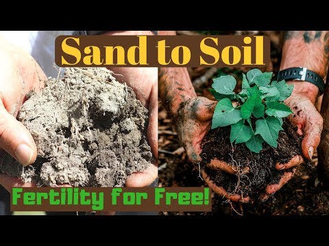 Video: How To Create Fertile Soil, Or What To Do With Barren Soil