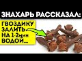 Почему медицина это утаивает? Исцеление гвоздикой возможно?