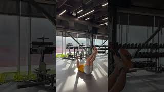Barbell Windshield Wipers
