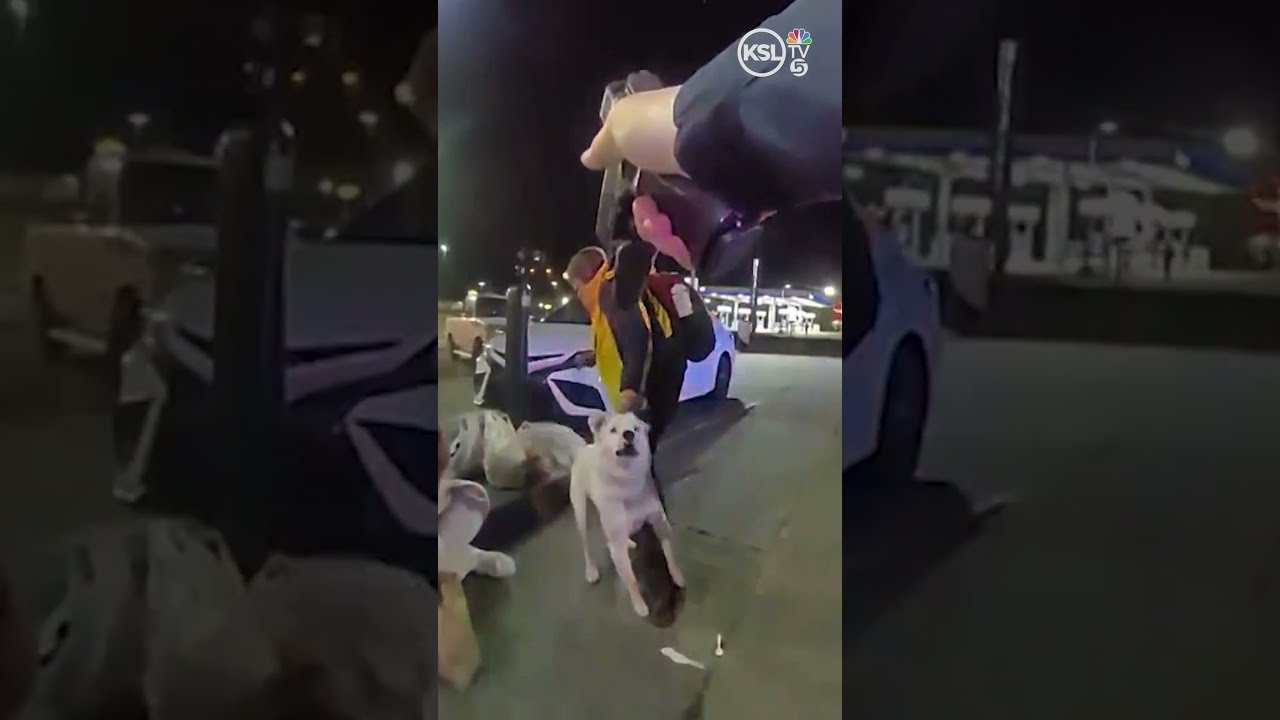 Salt Lake City Officer Shoots Dog During Confrontation Outside Of A Gas Station