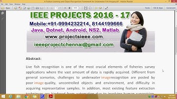 A Feature Learning and Object Recognition Framework for Underwater Fish Images