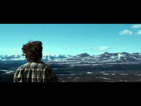 Just Perfect :) Into The Wild - Wolf