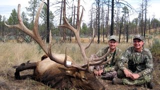 Elk hunting arizona with chappell guide service. more photos and
videos at www.chappellguideservice.com.