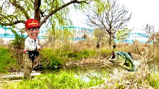 Bass Fishing] This was the spring explosion point - YouTube