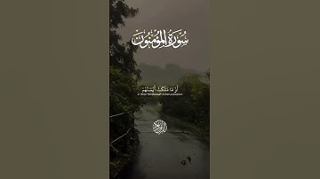 سورة المؤمنون | [الاية-11-1] | لي شيخ ياسر الدوسري