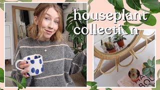 Houseplant Collection | Rhiannon Ashlee by Rhiannon Ashlee 26,291 views 5 years ago 12 minutes, 56 seconds