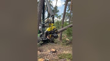 how to knock down a tree with Harvester 1270g #johndeere #machine #love #viral #harvester #tree #top