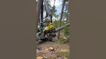 how to knock down a tree with Harvester 1270g #johndeere #machine #love #viral #harvester #tree #top