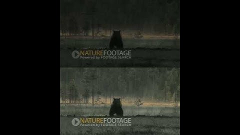 self-training for low-light video enhancement