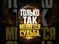 Только так меняется судьба