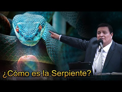 Video: ¿Para que se usa la vid de serpiente?
