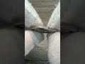 Title need to be update