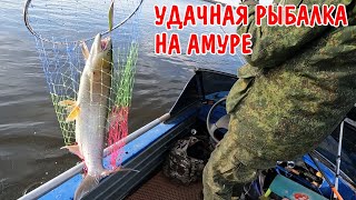 видео: РЫБАЛКА НА АМУРЕ / ПОЙМАЛИ ЖЕЛТОЩЁКА (НЕЛЬМА) / ВЕРХОГЛЯД / ЩУКА / ЗА РЫБОЙ НА МОТОРНОЙ ЛОДКЕ / ВЛОГ картинка: РЫБАЛКА НА АМУРЕ / ПОЙМАЛИ ЖЕЛТОЩЁКА (НЕЛЬМА) / ВЕРХОГЛЯД / ЩУКА / ЗА РЫБОЙ НА МОТОРНОЙ ЛОДКЕ / ВЛОГ