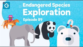 How can we help endangered species - Endangered Species Exploration