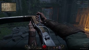 Dungeonborne rogue kills / gameplay