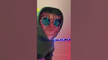 Thumbnail of michi club😎😎