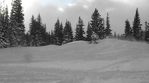Snowmobile jump into tree.